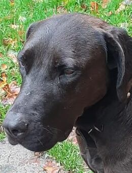 Santal - Lebensfreude pur - Süderbrarup