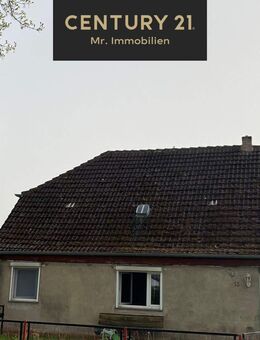 Ihr neues Zuhause im Grünen - vielseitig, ruhig, familienfreundlich - Friedland (Mecklenburg-Vorpommern)
