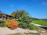 Neuwertiges ökologisch geprägtes Architektenhaus für die Klein-Familie - Teisendorf