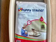 Haustier Hundetraining Toilette Tablett + Training Pads Medium - Stuttgart