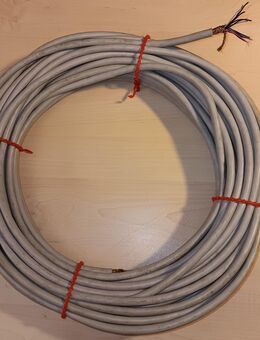 Steuerleitung Plastschlauchleitung geschirmt 14x0,14 - Kolkwitz