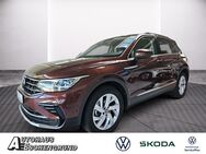 VW Tiguan, 1.5 TSI Elegance EL H, Jahr 2023 - Neubrandenburg