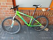 Bulls Pulsar 26er - Wolfsburg