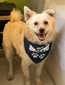 Lukas SR - verträglich, sanft - Rheine