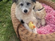 Nadia ist in Deutschland - Köln
