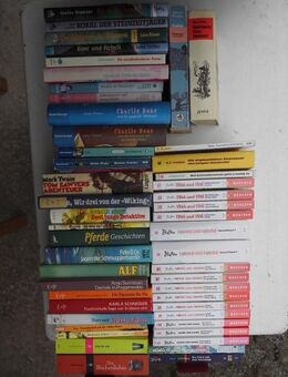 51 Bücher zusammen nur 5,- Kinderbücher Blyton Preußler Twain Stevenson Zusak Wolf Hassencamp Surminski Rinser Timm Lornsen Lebert usw. - Flensburg