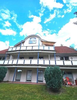 Bezaubernde Maisonette-Wohnung in naturverbundener Lage – sofort bezugsfertig - Neuenkirchen (Landkreis Heidekreis)