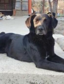 Zelma💞 - Sindelfingen