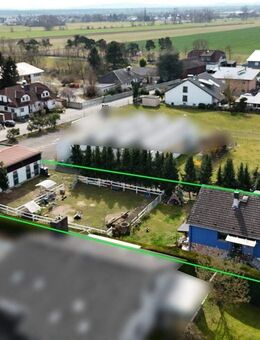 DIETZ: **RESERVIERT** Platz Für Ross und Reiter! Wohnhaus + Gewerbegebäude mit 6 Pferdestallungen! - Babenhausen (Hessen)