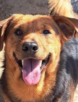 Silvio- Immer GUTE LAUNE - Obertshausen