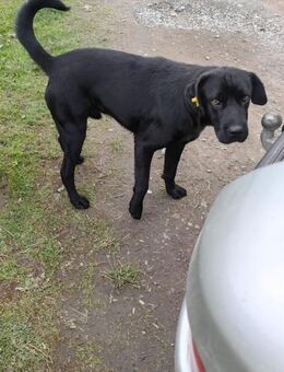 Onyx - Mönchengladbach