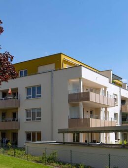 Moderne 2-Zimmer-Wohnung inkl. Einbauküche! - Heilsbronn