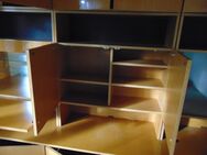 Schrankwand für den ausgesprochenen Kenner - Dachwig