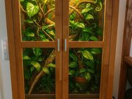 Terrarium der Extraklasse! Mit Außenspiegel und Freisitz - Dortmund