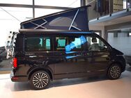 VW T6 California, 6.1 Ocean, Jahr 2024 - Verden (Aller)