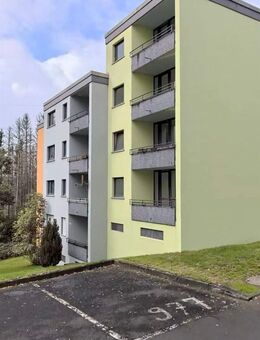 Sanierte 1-Zimmer-Wohnung mit hellen Zimmern & Balkon in Hamm - Hamm (Sieg)