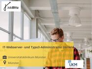 IT-Webserver- und Typo3-Administrator (m/w/d) - Münster