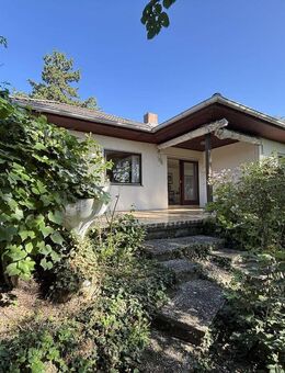 Ruhig wohnen, groß denken - Bungalow mit Traumgrundstück - Obrigheim (Pfalz)