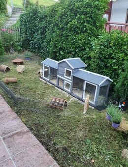 Meerschweinchen / Hasen Käfig und komplettes Zubehör - Denklingen