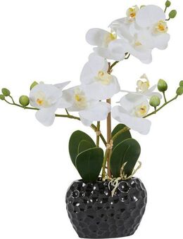 Kunstpflanze Orchidee Orchidee, Leonique, Höhe 38 cm, Kunstorchidee, im Topf, Bestseller, über 2500 4,5-Sterne-Bewertungen