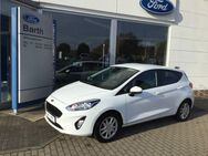 Ford Fiesta 1.1 Cool & Connect W-Paket - Grimmen