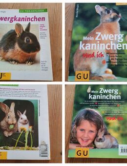 Kleintier Zubehör + Bücher - Grevenbroich