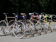 Vintage Rennräder aus den 80er Jahren / Rahmenhöhe 60 - 63 cm / aufbereitete Stahlrennräder / Koga Miyata / Panasonic ... - Varel
