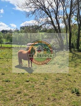 RESERVIERT! Uriges freistehendes Bauernhaus für 1-2 Familien, mit viel Platz zur Tierhaltung - Grafengehaig