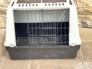 Verkaufe Hunde Transport Box von ferplast - Ludwigsstadt