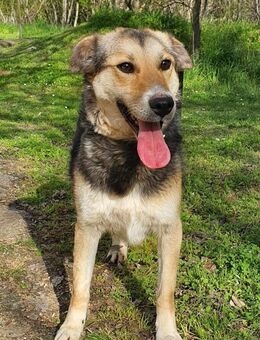 Karlo - wartet sein ganzes Leben - Berlin