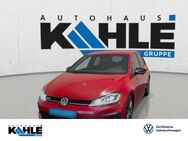 VW Golf, 2.0 TSI VII GTI, Jahr 2018 - Walsrode