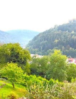 Neuenbürg - große Doppelhaushälfte mit Einliegerwohnung, Terrasse, Garten und toller Aussicht! - Neuenbürg