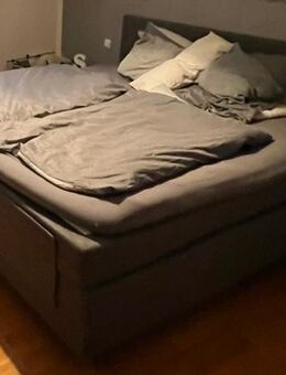 Boxspringbett 260x240 mit Motor höhenverstallbar (Kopf-&Fußteil) - Meinhard