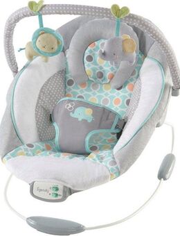 ingenuity Babywippe Soothing Bouncer, Morrison