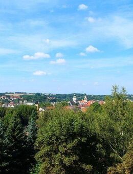 1 Raum Wohnung mit Blick ins Grüne - Döbeln