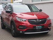 Opel Grandland X, Design Line, Jahr 2020 - Hachenburg