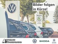 VW Tiguan, 1.5 l eTSI OPF Dop, Jahr 2024 - Neubrandenburg