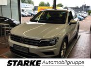 VW Tiguan, 2.0 TDI Highline, Jahr 2019 - Osnabrück