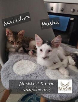 Mushu und Navina - Garbsen