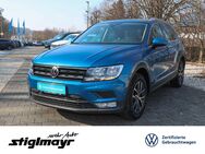 VW Tiguan, 2.0 TDI Einparkas, Jahr 2016 - Pfaffenhofen (Ilm)