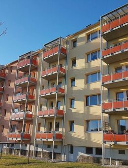 4 finden ein schönes Zuhause - Thum
