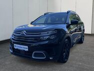 Citroën C5, 1.6 Aircross Shine 180 A T, Jahr 2019 - Potsdam