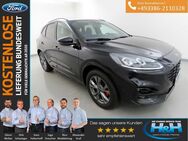 Ford Kuga, 2.5 Plug-in-Hybrid ST-Line X, Jahr 2022 - Premnitz