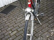 KTM Damen City Fahrrad - Cham