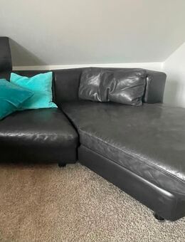 Rolf Benz Ledersofa Forum Sofa Designersofa - Blaustein
