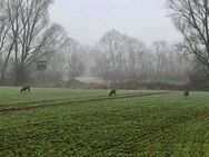 Landhaus FÜR 2-3 Personen - offener Grundriss - traumhaft - mit exklusiven neuen Sprossenfenstern und Superheizung (neu 2023) - Rellingen