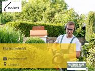 Florist (m/w/d) - Limpach