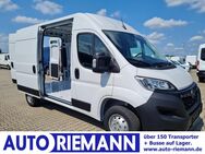 Opel Movano, C Kasten L2H2 KOMFORT App, Jahr 2024 - Cloppenburg