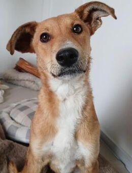 🌞 Freundliche Tania sucht Glück 🌞 - Eislingen (Fils)