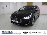 Ford Focus, Vignale Winterpaket, Jahr 2020 - Essen